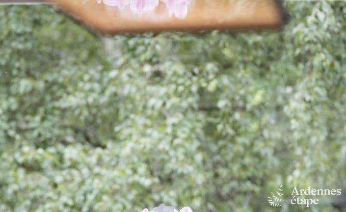 Villa de Luxe � Vielsalm pour 21 personnes en Ardenne