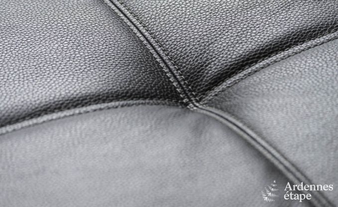 Villa de Luxe � Vielsalm pour 21 personnes en Ardenne