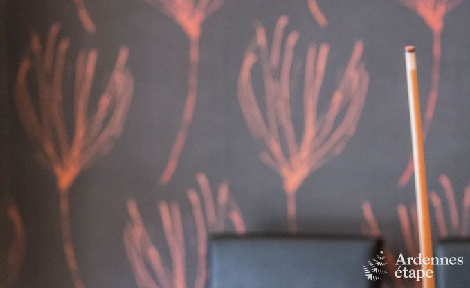 Villa de Luxe � Vielsalm pour 21 personnes en Ardenne