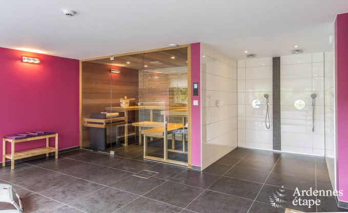Villa de Luxe � Vielsalm pour 21 personnes en Ardenne
