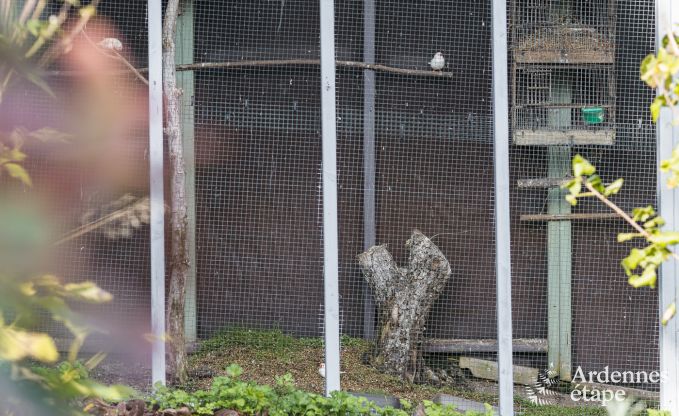 Maison de vacances confortable avec jardin priv� � pittoresque Vierves-sur-Viroin pour 4 personnes