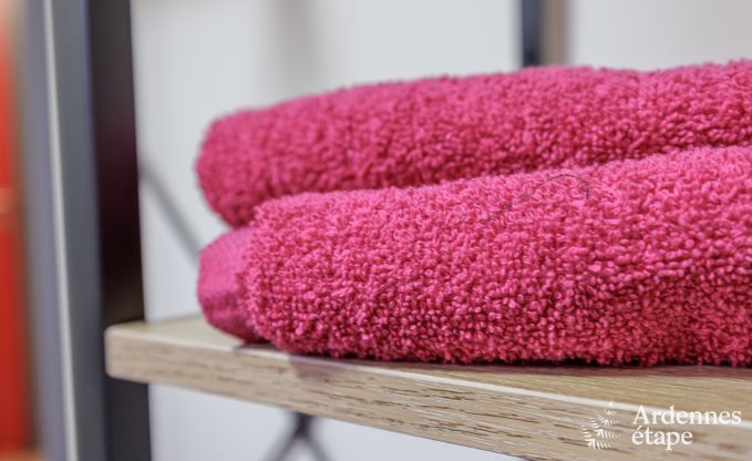 Maison de vacances � Vierves-sur-Viroin pour 18/20 personnes en Ardenne