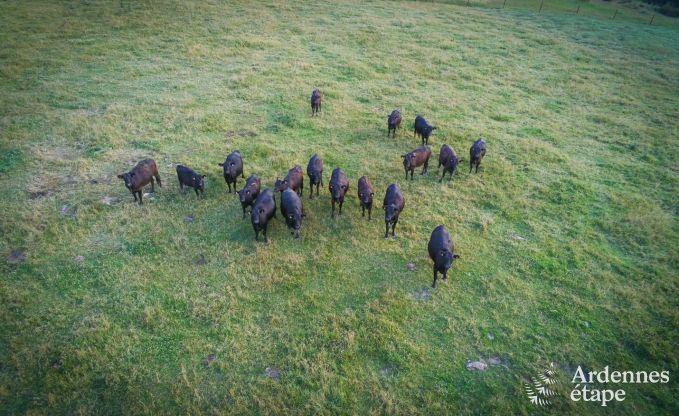 Maison de vacances � Villers-en-Fagne pour 30/32 personnes en Ardenne