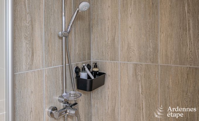 Sjour inoubliable  Villers-en-Fagne : Maison de vacances avec sauna, jacuzzi, piscine et vue imprenable en Ardenne