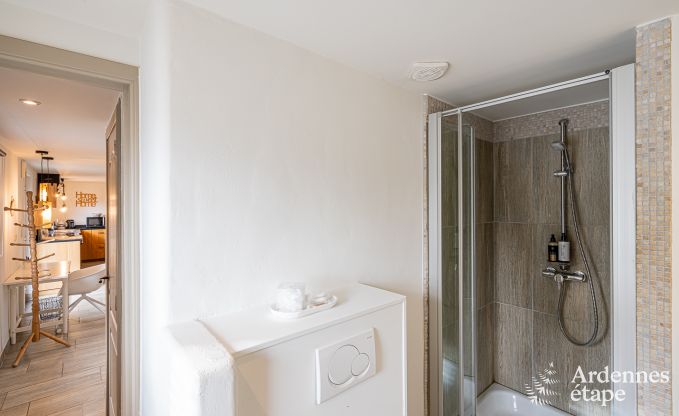 Sjour inoubliable  Villers-en-Fagne : Maison de vacances avec sauna, jacuzzi, piscine et vue imprenable en Ardenne