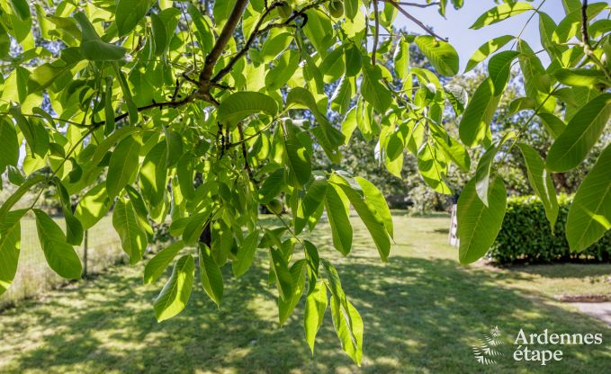 Maison de vacances � Virelles pour 6 personnes en Ardenne
