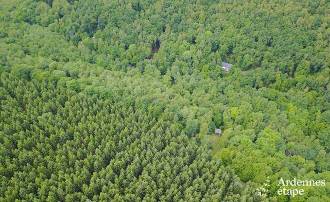 Chalet � Viroinval pour 9 personnes en Ardenne