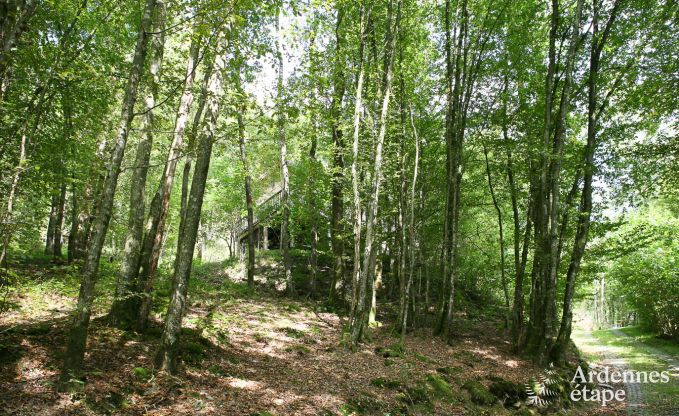 Chalet � Viroinval pour 9 personnes en Ardenne
