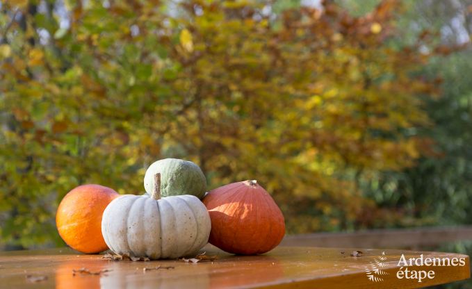 Chalet � Viroinval pour 6 personnes en Ardenne