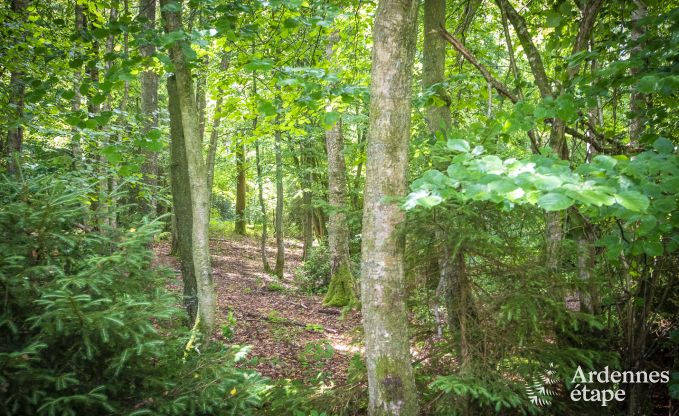 Chalet  Viroinval pour 6 personnes en Ardenne