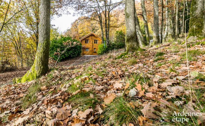 Chalet  Viroinval pour 6/8 personnes en Ardenne