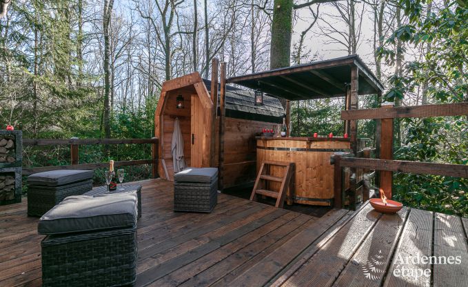 Chalet  Viroinval pour 4/6 personnes en Ardenne