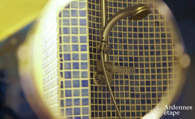 Maison de vacances  Viroinval pour 15 personnes en Ardenne