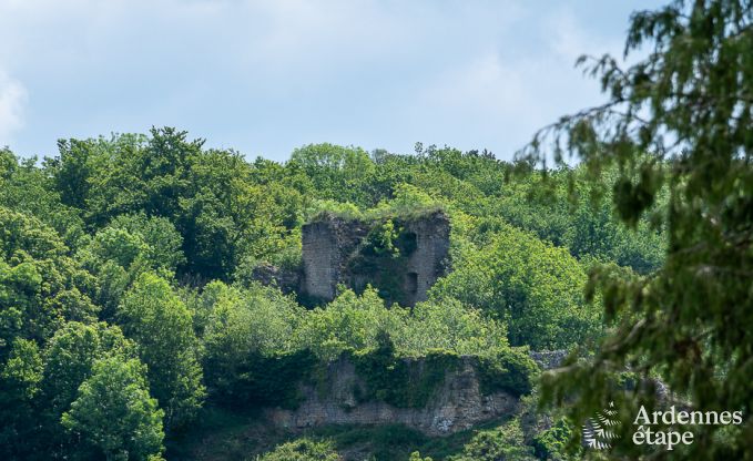 Maison de vacances � Viroinval pour 8 personnes en Ardenne
