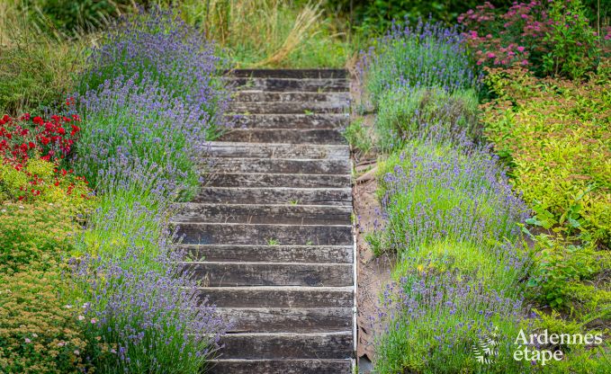 H�bergement de groupe confortable pour 17 � Virton, Gaume