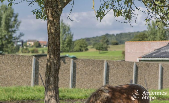 Maison de vacances � Voeren pour 20/24 personnes en Ardenne