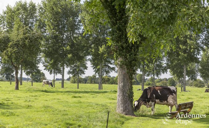 Maison de vacances � Voeren pour 20/24 personnes en Ardenne