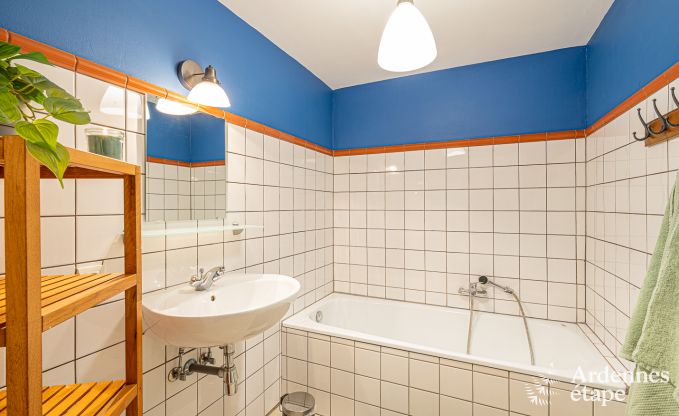 Spacieuse, maison chien admis  Vresse-Sur-Semois, Ardenne