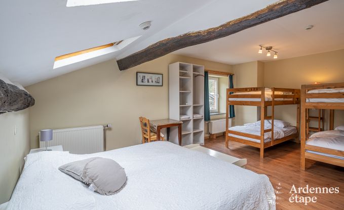 Spacieuse, maison chien admis  Vresse-Sur-Semois, Ardenne