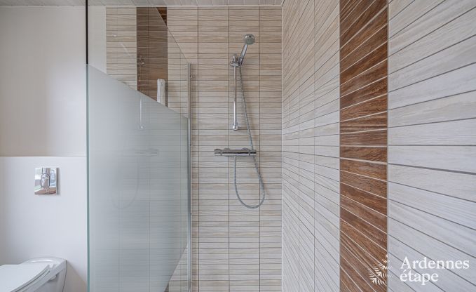 Maison de vacances familiale avec sauna � Vresse-Sur-Semois, Ardenne