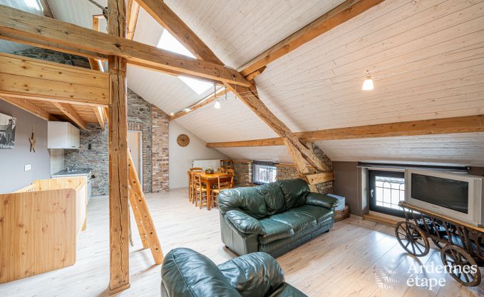Maison de vacances familiale avec sauna � Vresse-Sur-Semois, Ardenne