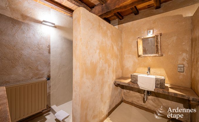 Maison de vacances de luxe pour grands groupes  Vresse-sur-Semois, Ardenne