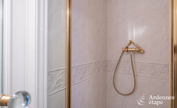 Maison de vacances de luxe pour grands groupes  Vresse-sur-Semois, Ardenne