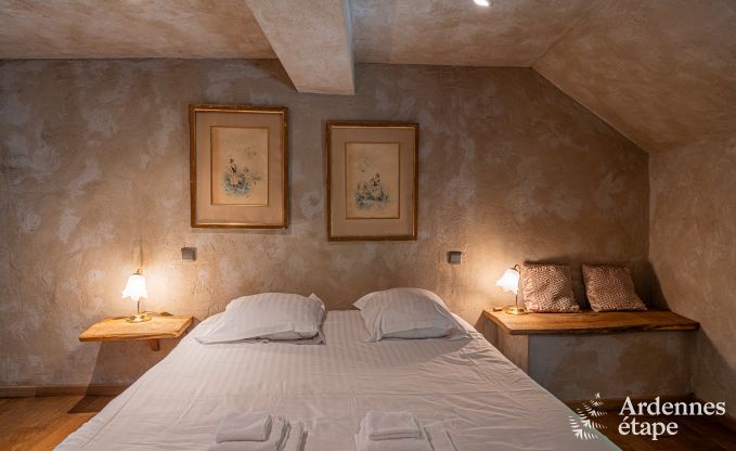 Maison de vacances de luxe pour grands groupes  Vresse-sur-Semois, Ardenne