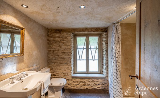 Maison de vacances de luxe pour grands groupes  Vresse-sur-Semois, Ardenne