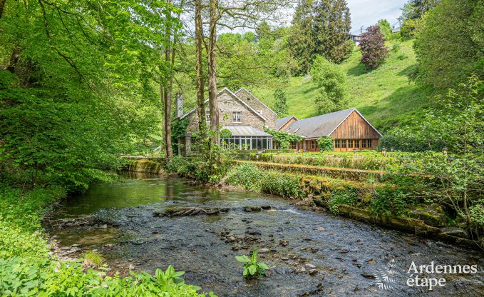 Maison de vacances de luxe pour grands groupes  Vresse-sur-Semois, Ardenne