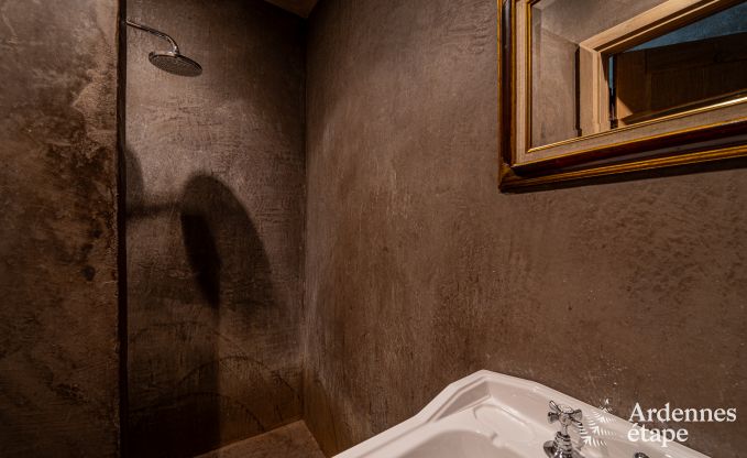 Maison de vacances de luxe pour grands groupes  Vresse-sur-Semois, Ardenne