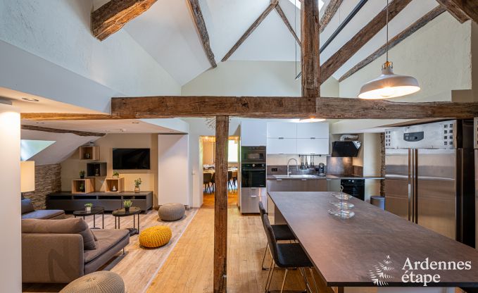 Maison de vacances de luxe pour grands groupes  Vresse-sur-Semois, Ardenne