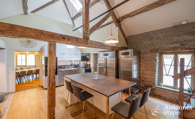 Maison de vacances de luxe pour grands groupes  Vresse-sur-Semois, Ardenne