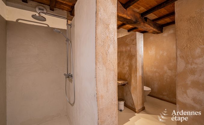 Maison de vacances de luxe pour grands groupes  Vresse-sur-Semois, Ardenne