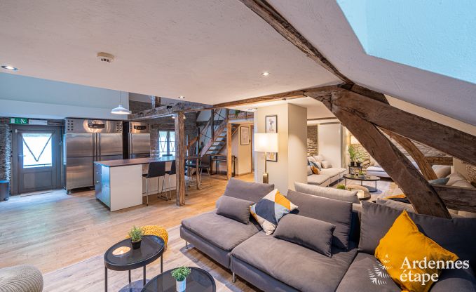 Maison de vacances de luxe pour grands groupes  Vresse-sur-Semois, Ardenne