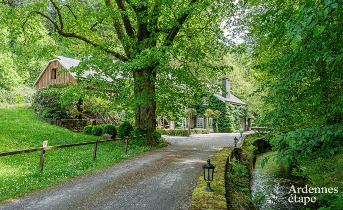 Maison de vacances de luxe pour grands groupes  Vresse-sur-Semois, Ardenne