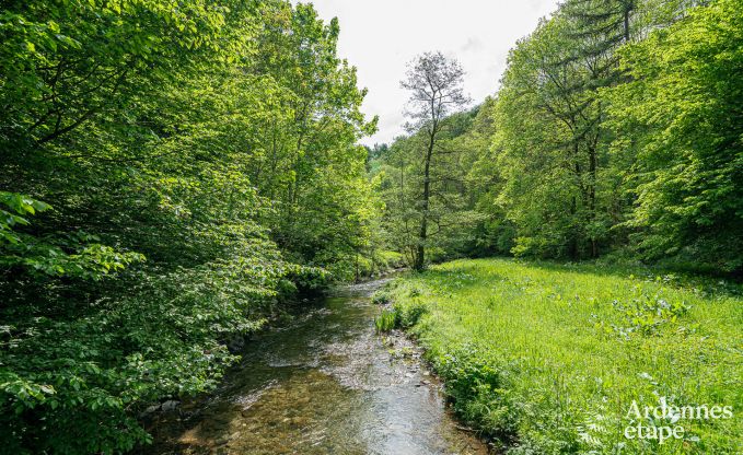 Maison de vacances de luxe pour grands groupes  Vresse-sur-Semois, Ardenne