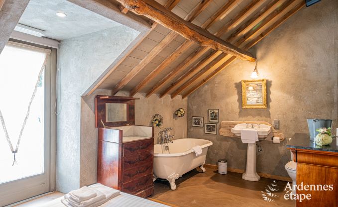 Maison de vacances de luxe pour grands groupes  Vresse-sur-Semois, Ardenne