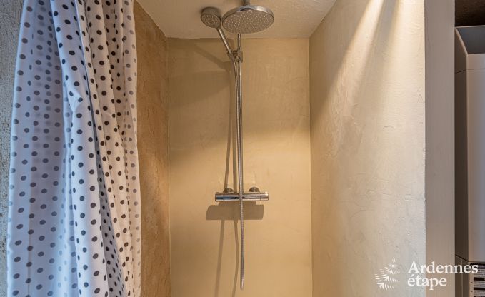 Maison de vacances de luxe pour grands groupes  Vresse-sur-Semois, Ardenne