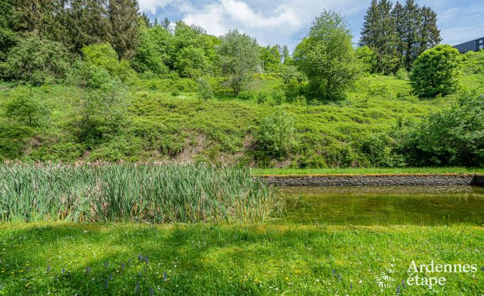 Maison de vacances de luxe pour grands groupes  Vresse-sur-Semois, Ardenne