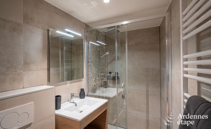 Villa de Luxe  Vresse-sur-Semois pour 14 personnes en Ardenne