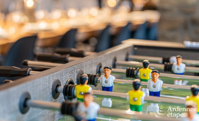 Villa de Luxe  Vresse-sur-Semois pour 14 personnes en Ardenne