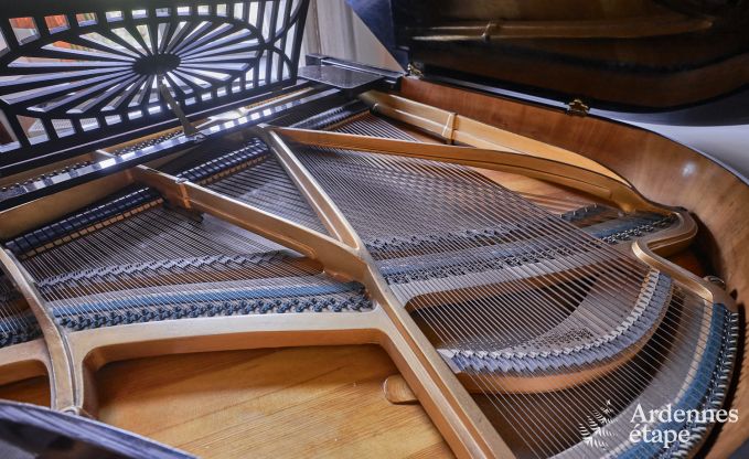 Maison de ma�tre avec piscine ext�rieure chauff�e � Vresse-sur-Semois pour 15 personnes