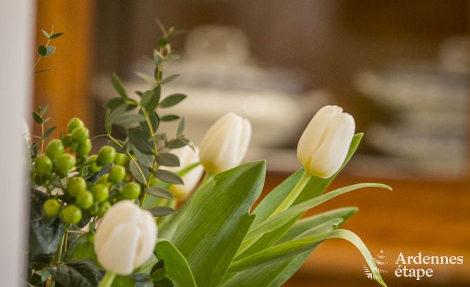 Maison de vacances  Vresse-sur-Semois pour 13/14 personnes en Ardenne