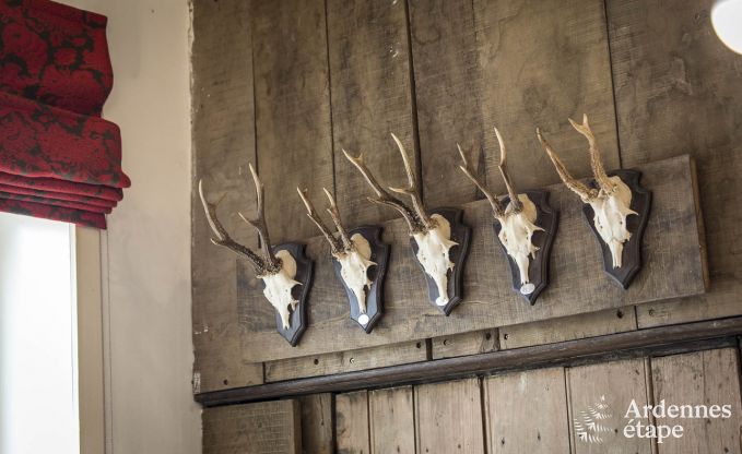 Maison de vacances  Vresse-sur-Semois pour 13/14 personnes en Ardenne