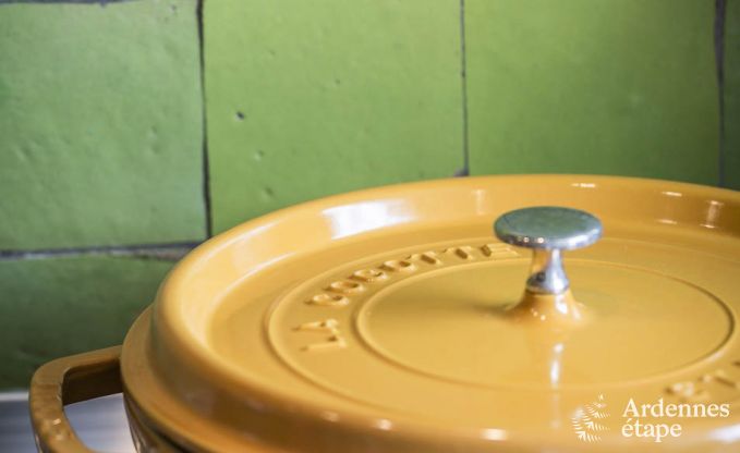 Maison de vacances  Vresse-sur-Semois pour 13/14 personnes en Ardenne