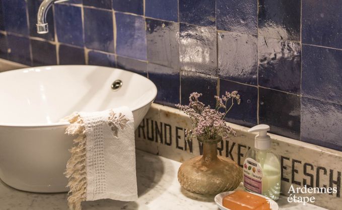 Maison de vacances  Vresse-sur-Semois pour 13/14 personnes en Ardenne