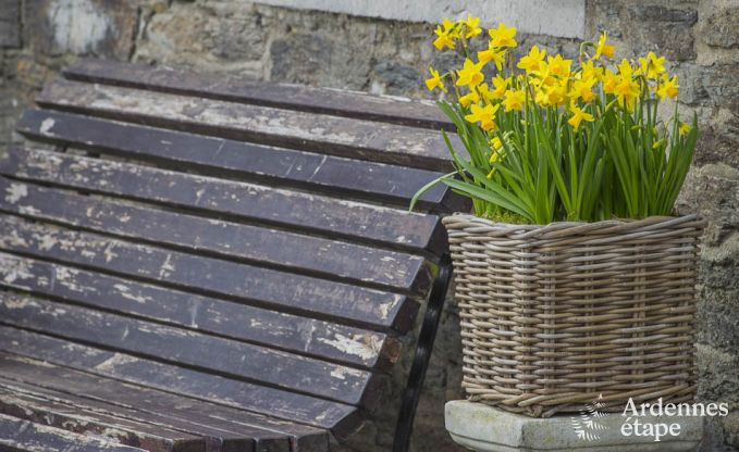 Maison de vacances  Vresse-sur-Semois pour 13/14 personnes en Ardenne