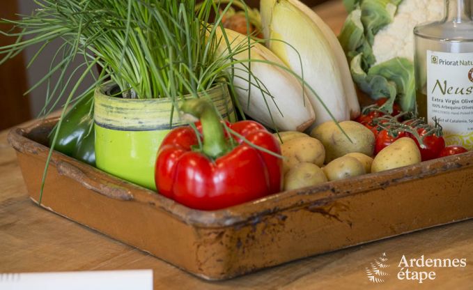 Maison de vacances  Vresse-sur-Semois pour 13/14 personnes en Ardenne