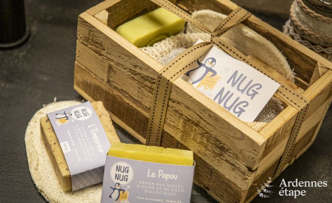 Maison de vacances � Vresse-sur-Semois pour 15 personnes en Ardenne